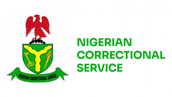 Investigative panel on abuse, corruption in prisons submits reports to Fed Govt