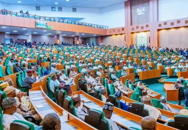Reps end Ugochinyere’s minority leader ambition