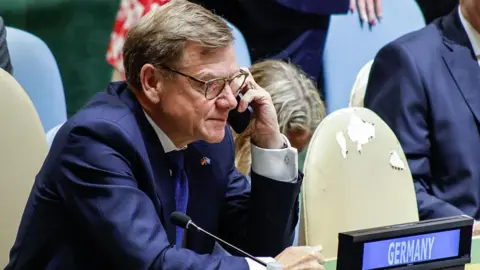 Germany blames Russia for 'bitter defeat' in UN Security Council bid