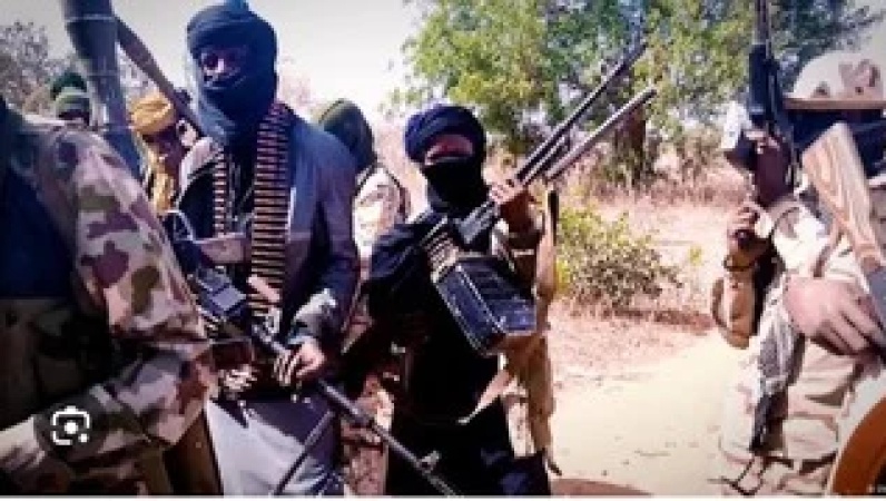 Police foil two bandits’ attacks, recover 137 rustled cows in Sokoto