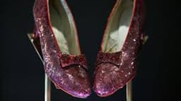 Movie legend’s ruby slippers sell for $28m at auction