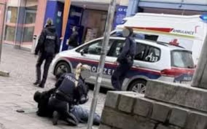 Asylum seeker stabs teen dead, injures others in Austria