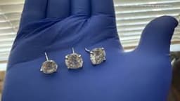 Earrings worth $769,500 recovered by Florida police after alleged thief swallows them