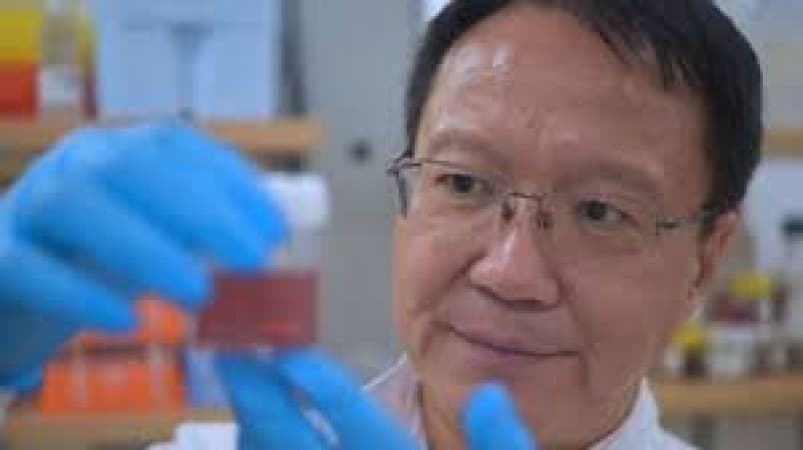 Researchers developing novel nanoparticles that could boost treatment of aggressive breast cancers