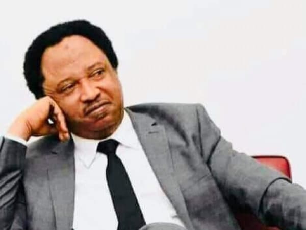 Shehu Sani rejects Miss World appointment