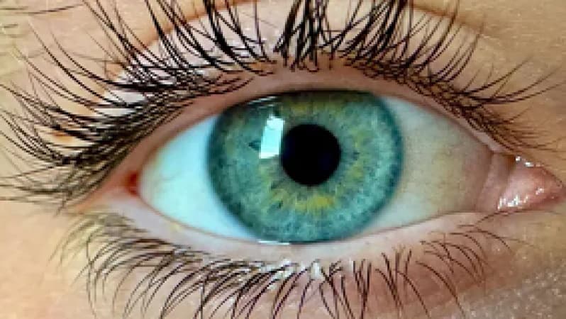 Scientists claim to have discovered ‘new colour’ no one has seen before