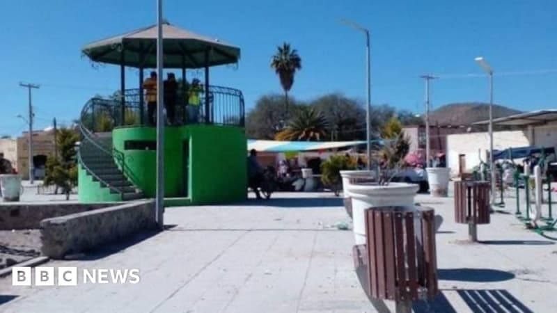 Seven youths shot dead at church festivity