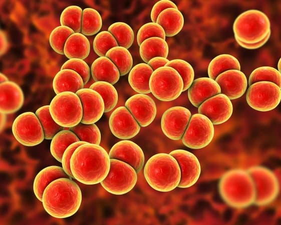 World-first gonorrhoea vaccine launched as infections soar