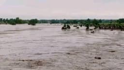 Many feared dead as flood ravages Niger community