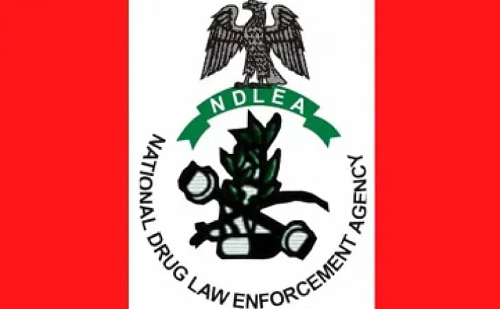 Don?t help anyone carry bags you didn?t pack, NDLEA warns travellers