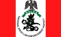 Don?t help anyone carry bags you didn?t pack, NDLEA warns travellers
