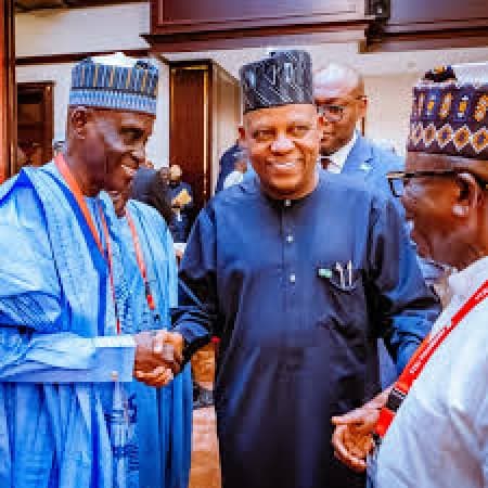 Malnutrition denying 40 per cent of Nigerian children their full potential ? Shettima