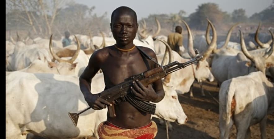 Suspected herdsmen ambush security team in Benue, officers missing