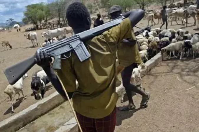 How Fulani militia killings escape global attention ? Security expert