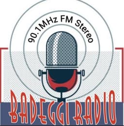 Outrage as Niger Gov orders shutdown on radio station