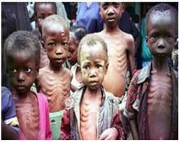 300,000 children face hunger as WFP shuts Borno, Yobe clinics