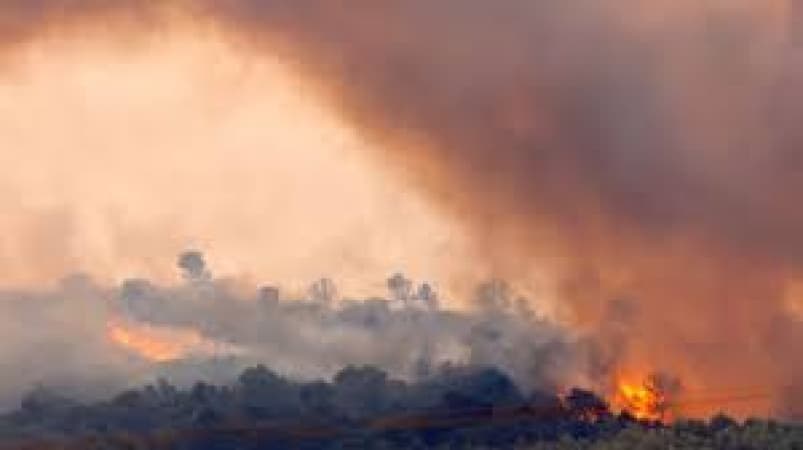 One dead and thousands evacuated as wildfire spreads in France