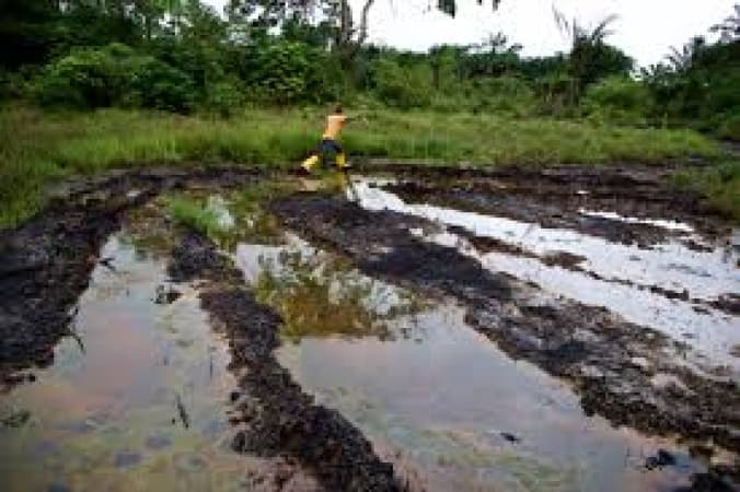 FENRAD demands environmental justice in indigenous oil-impacted communities