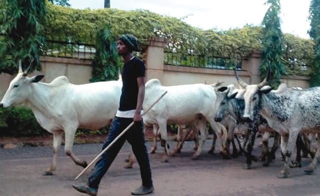 Residents desert homes as herdsmen, vigilante clash in Imo community