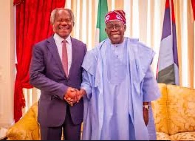 Tinubu meets two of Nigeria’s global investment leaders, Bayo Ogunlesi and Hakeem Belo-Osagie