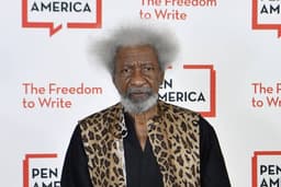 Wole Soyinka: Five Nigerians banned from entering foreign countries
