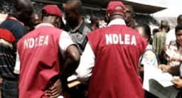 Teenager killed as NDLEA operatives, drug barons clash in Edo