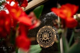 FBI fires special agent who helped oversee Trump investigation, sources say