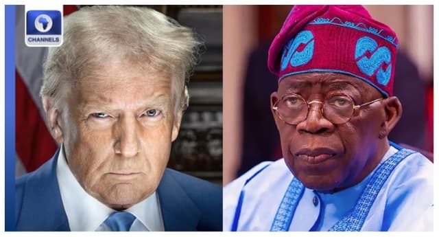 Tinubu to meet trump over Christian genocide claims — Bwala