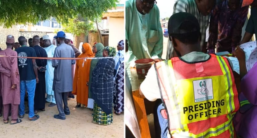APC sweeps Niger state LG polls, wins all 25 councils