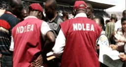 NDLEA arrests woman with ammunition for bandits