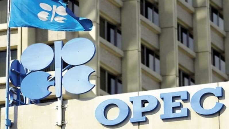 Stop exporting crude, OPEC tells Nigerian producers
