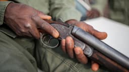 Kidnappers abduct 40, troops rescue 31 in Kogi