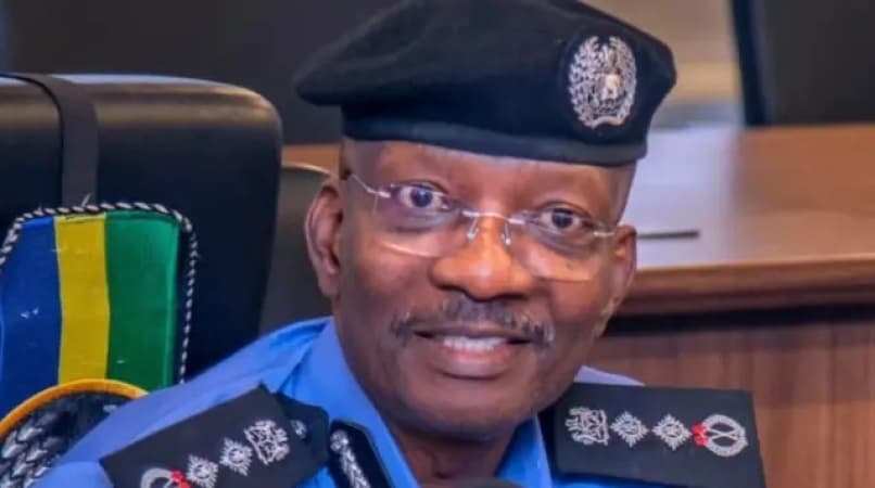 Over 100,000 Nigerian policemen assigned to VIPs — EU report