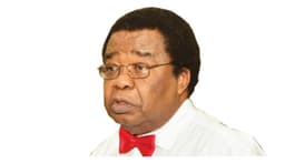 Tinubu must show determination to flush out Boko Haram sympathisers from military —Prof Akinyemi