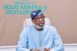 Hard times await illegal miners — Alake