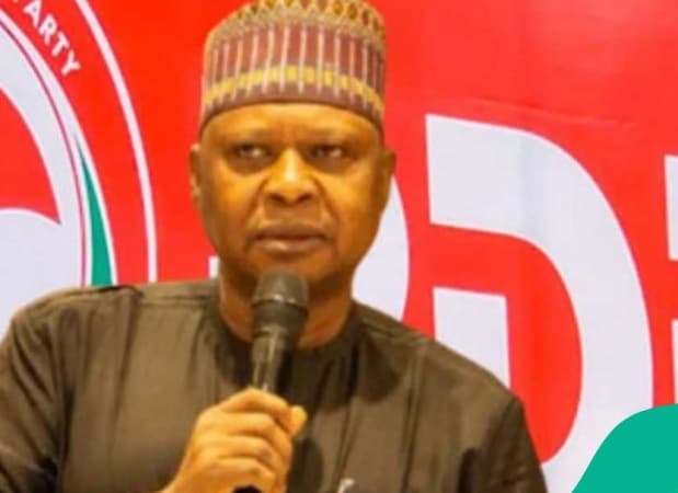 Coalition: We’ll consider all options for 2027 — PDP chairman