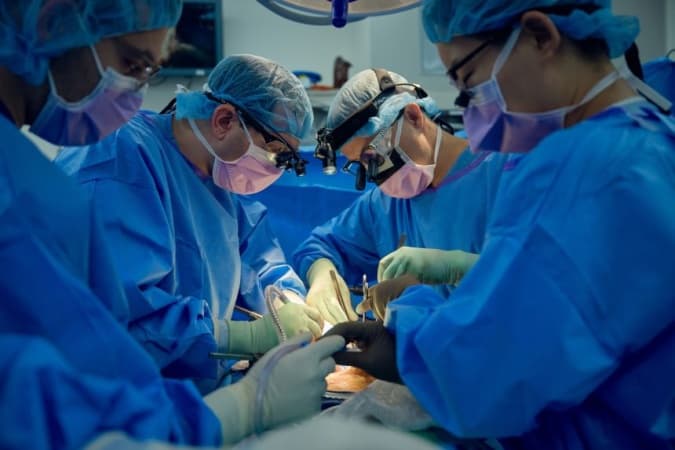 Scientists reverse human rejection of pig organ transplant for first time ever