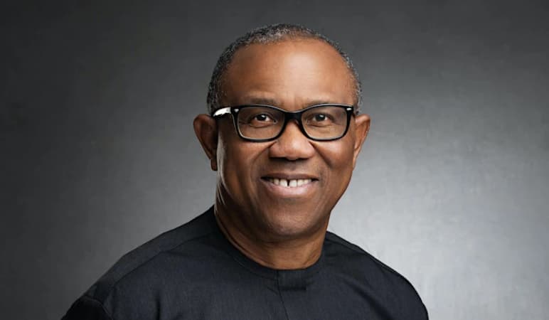 2027 Presidency: Peter Obi is ADC’s best hope — Ohanaeze youths