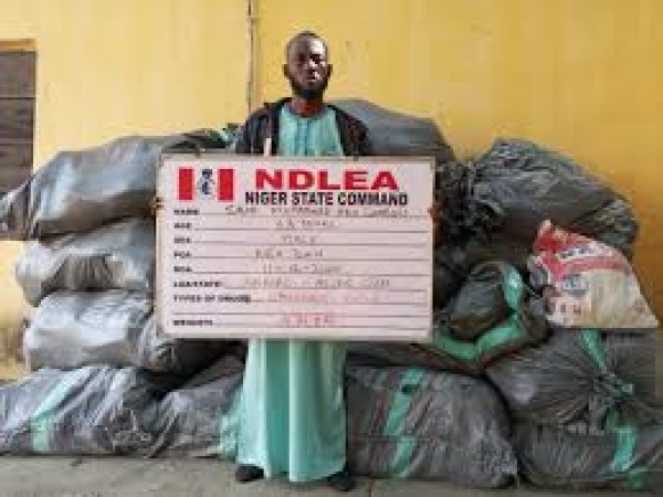 NDLEA arrests fleeing bandits’ drug supplier in Niger