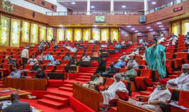 Senate raises concern over multiple budget implementation