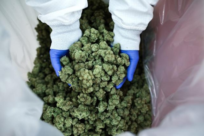 Trump expected to expand access to cannabis in a major shift in drug policy