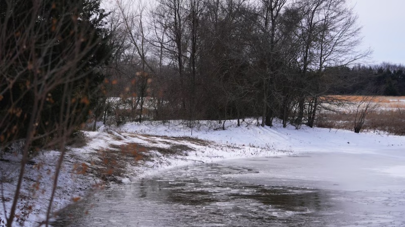 Three brothers die after falling in frozen Texas pond