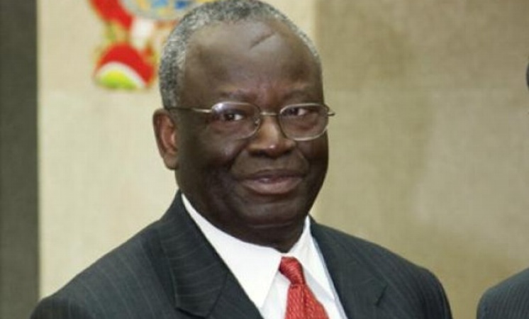 Ibrahim Gambari-led group slams defections by elected govt officials