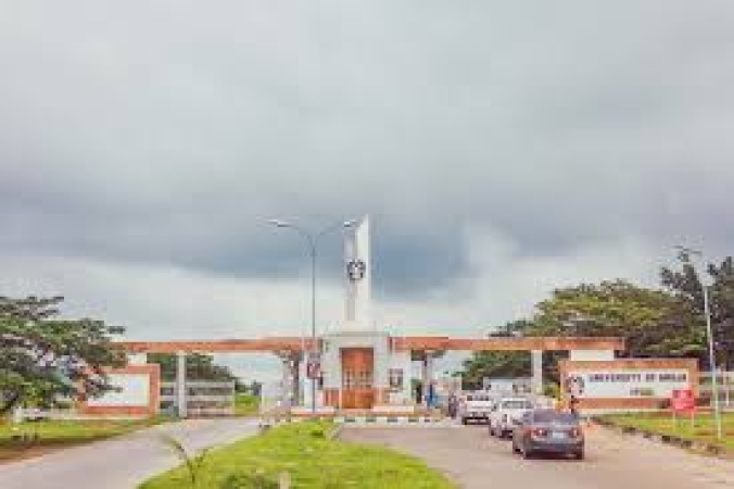 UniAbuja Senate expels 28 students over disciplinary offences