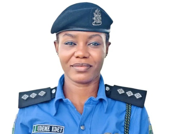 Armed attackers kill 15 villagers harvesting cashew in Benue