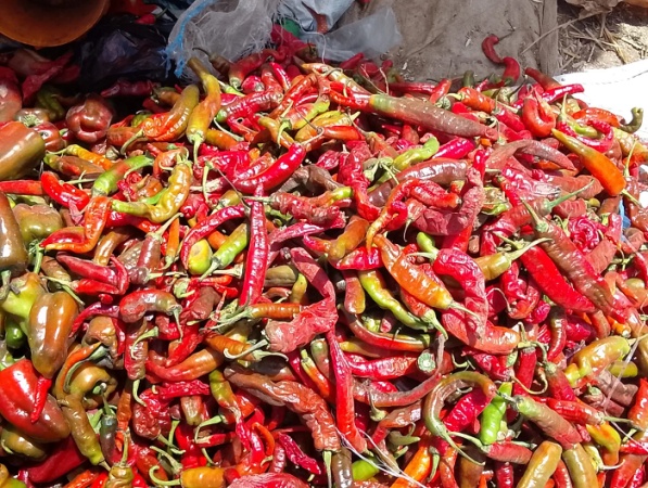 Poor Remuneration: NCE holder quits teaching for pepper-selling business