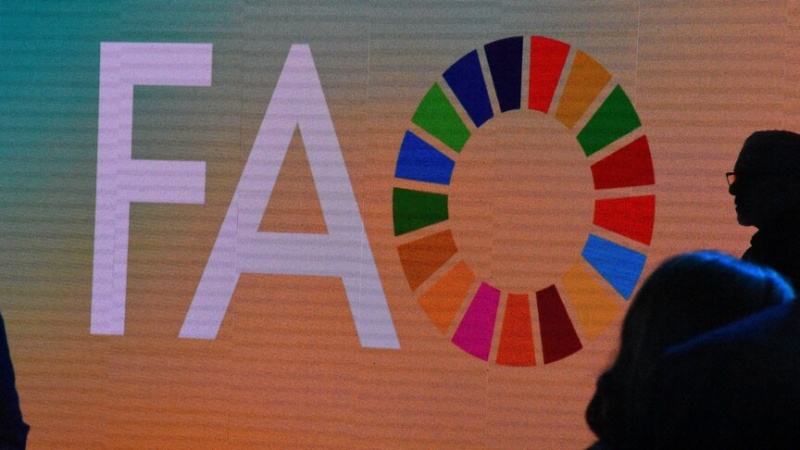 FAO warns prolonged Hormuz crisis could trigger global agrifood catastrophe