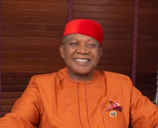 Tinubu in trouble if opposition unites — Ohuabunwa