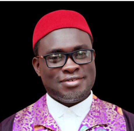 2027: Okorie backs Peter Obi for president, joins Reps race