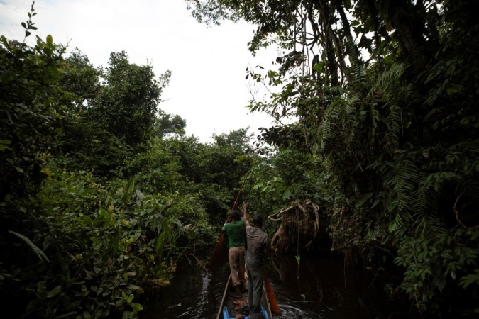 How bushmeat, burial rites and disinformation make the DRC an Ebola hotspot